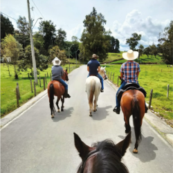 VUELTICA POR LA FINCA